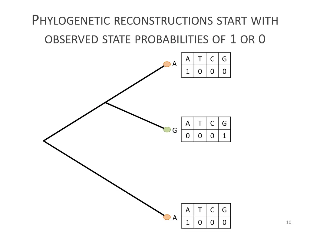 p hylogenetic reconstructions start with observed