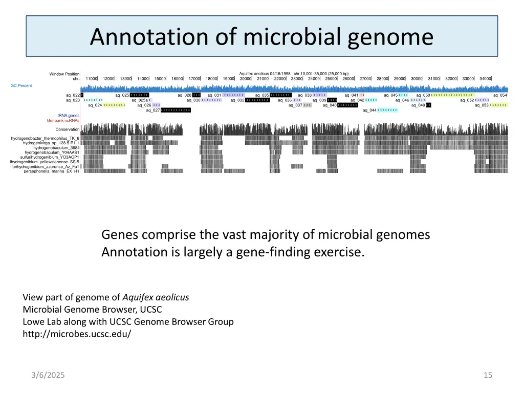 annotation of microbial genome