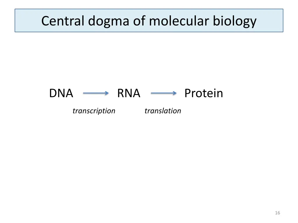 central dogma of molecular biology