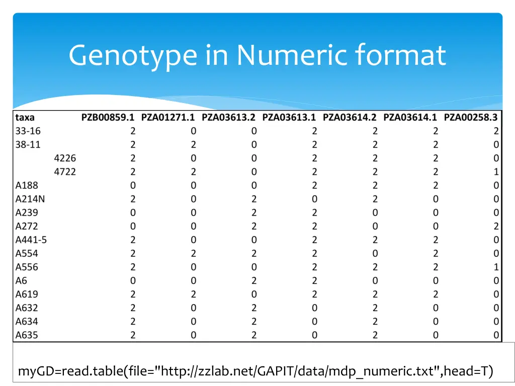 genotype in numeric format