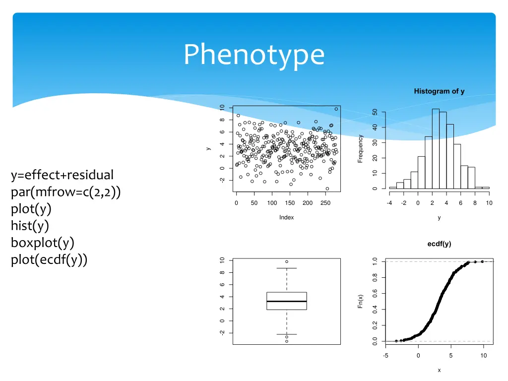 phenotype