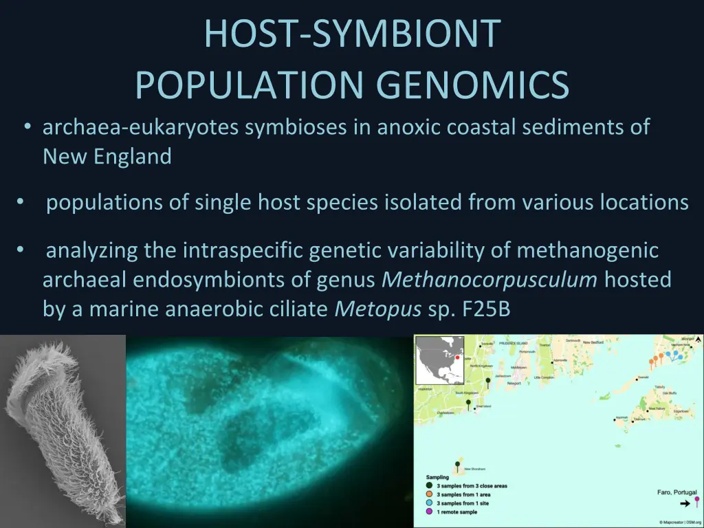 host symbiont population genomics archaea