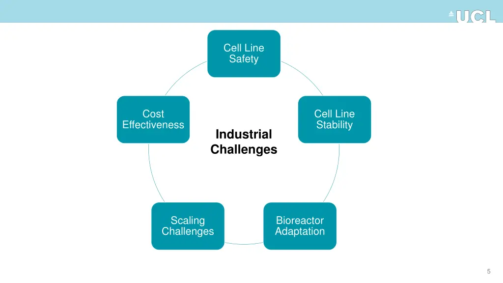 cell line safety