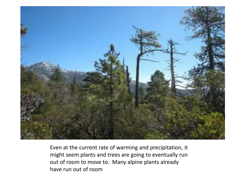 even at the current rate of warming
