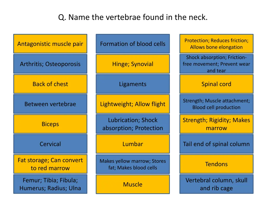 q name the vertebrae found in the neck