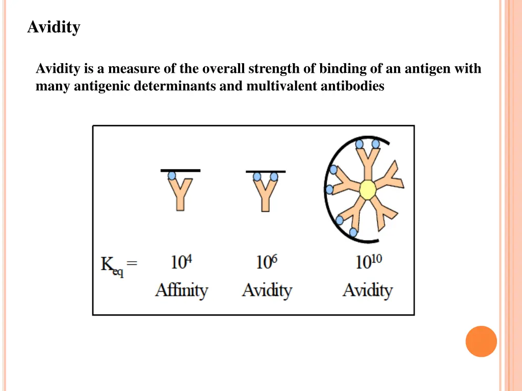 avidity