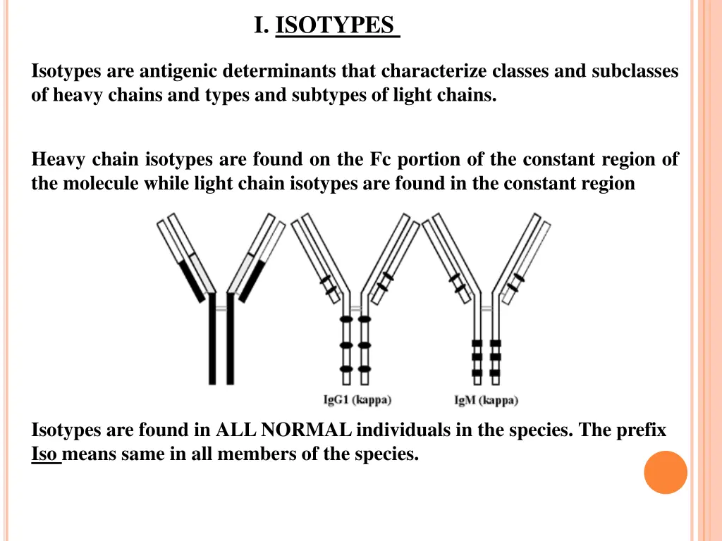 i isotypes