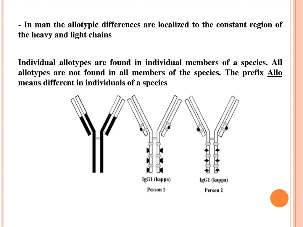 in man the allotypic differences are localized