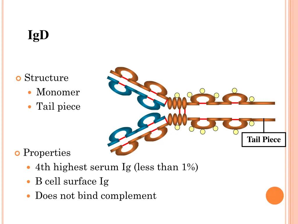 slide23