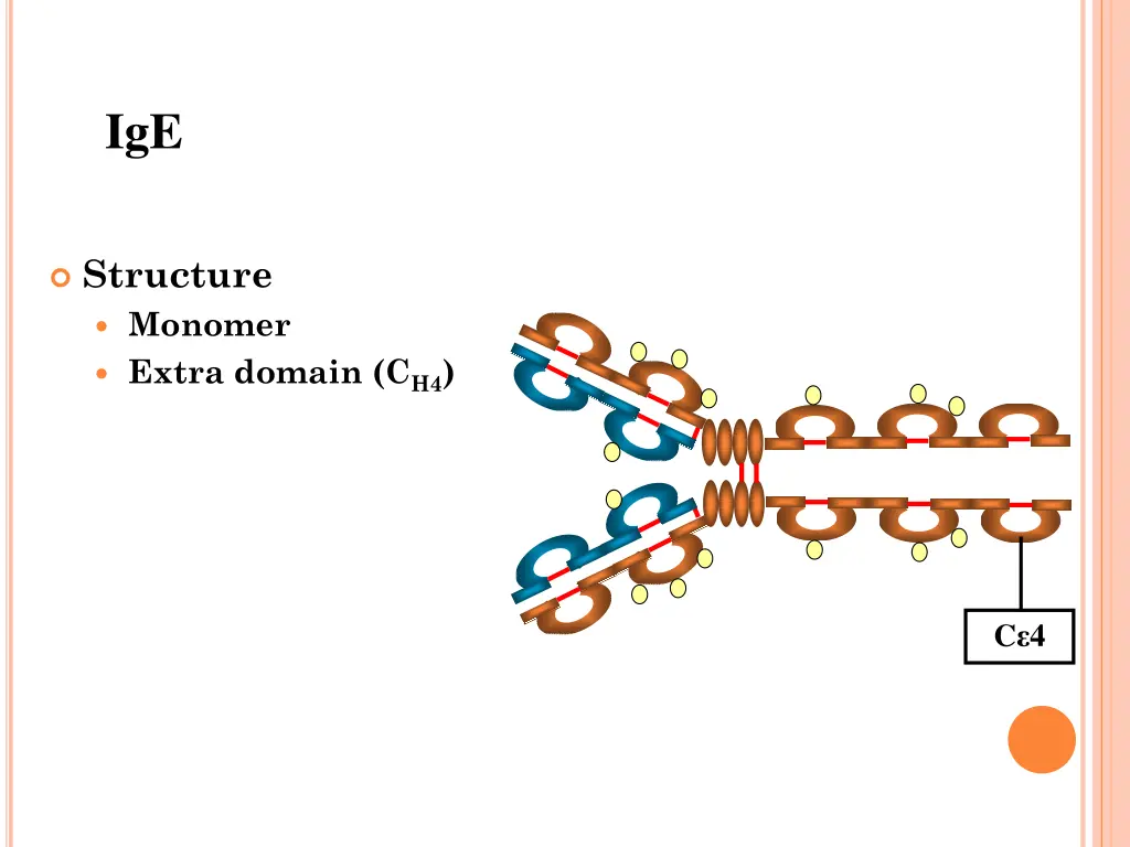 slide24