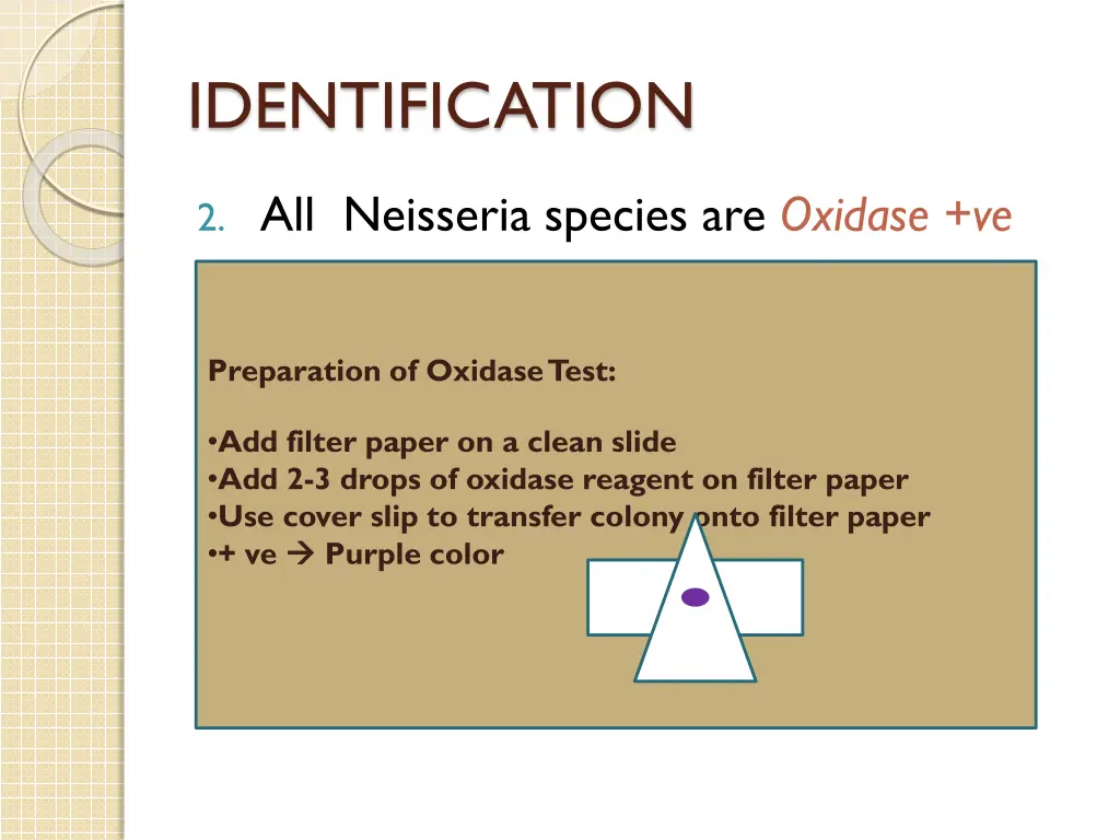 identification 2