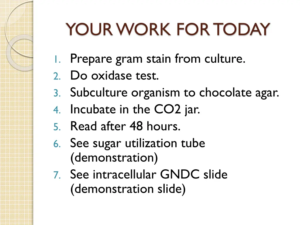 your work for today