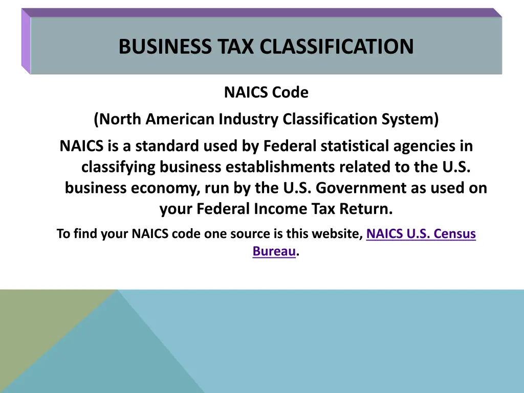 business tax classification