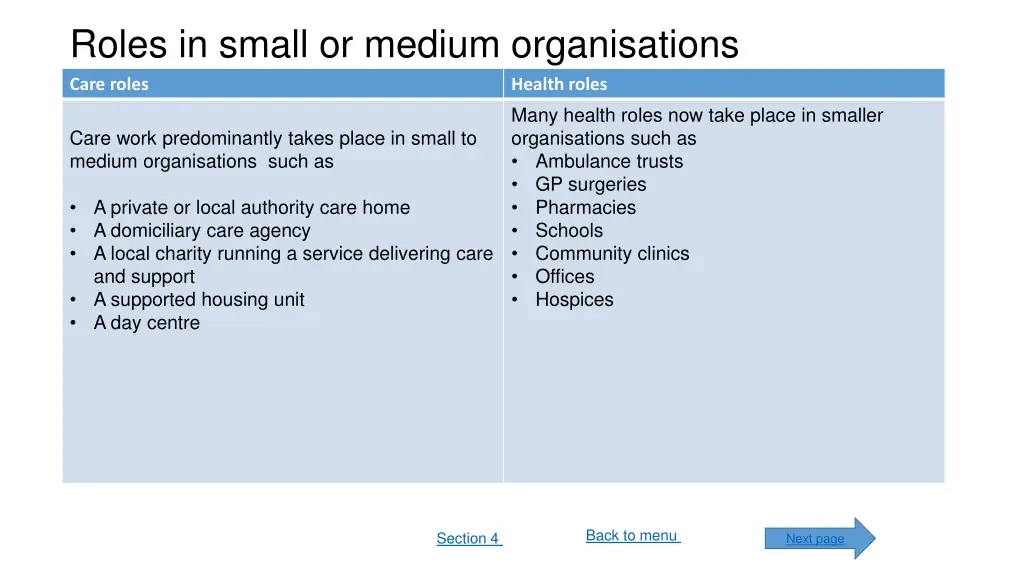 roles in small or medium organisations