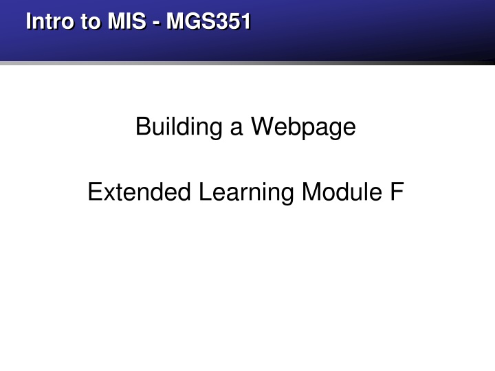 intro to mis mgs351