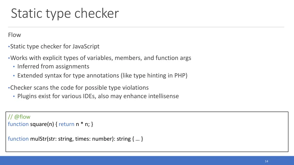 static type checker