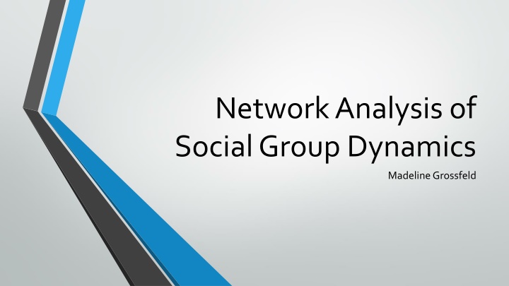 network analysis of social group dynamics