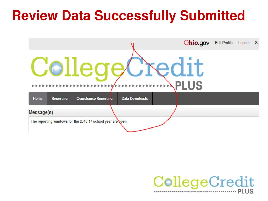 review data successfully submitted