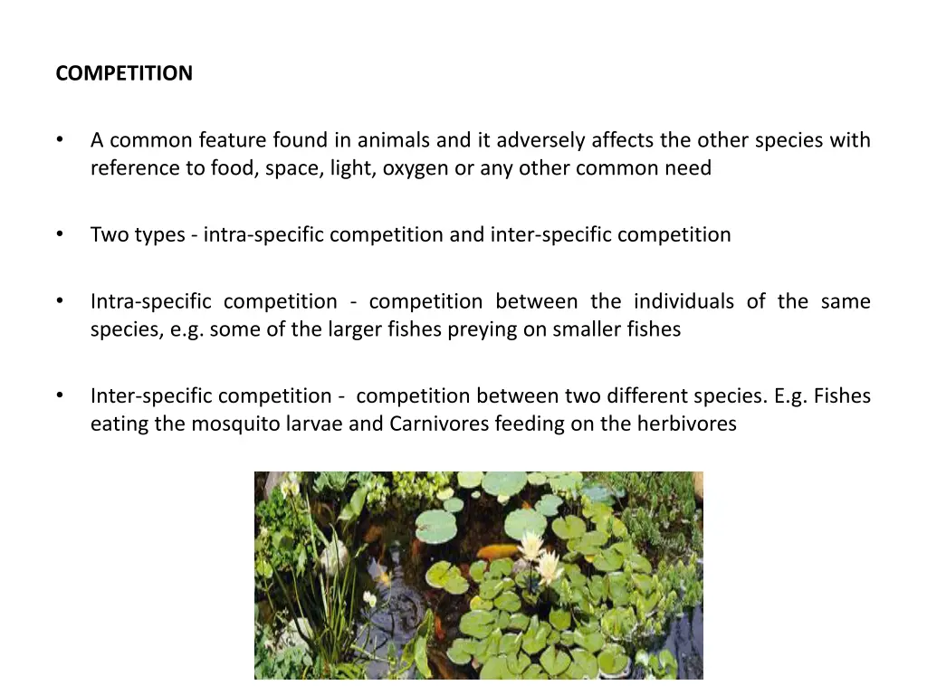 competition