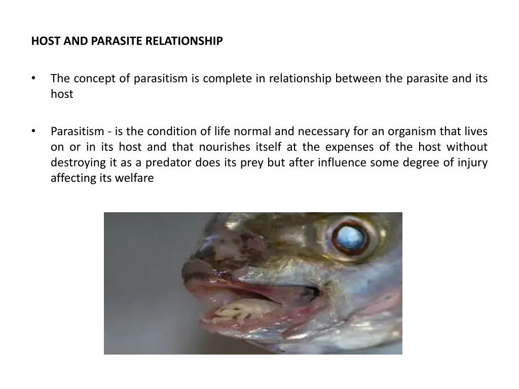 host and parasite relationship