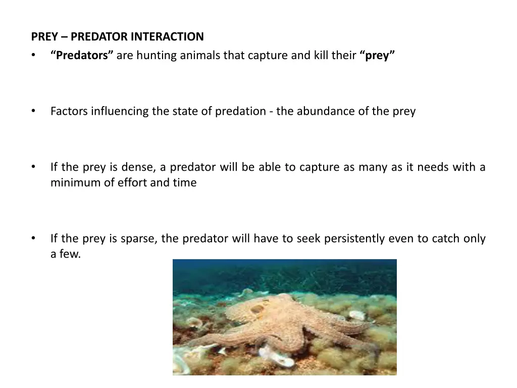prey predator interaction predators are hunting