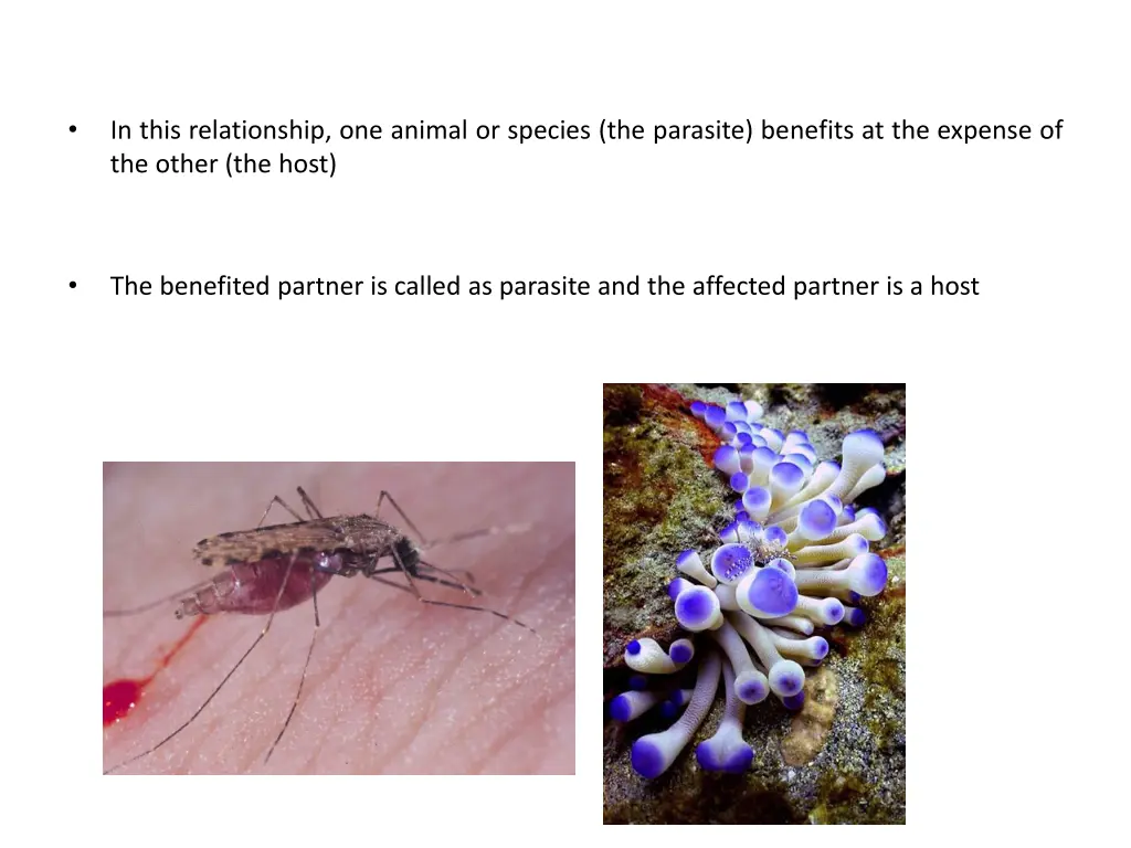 slide2