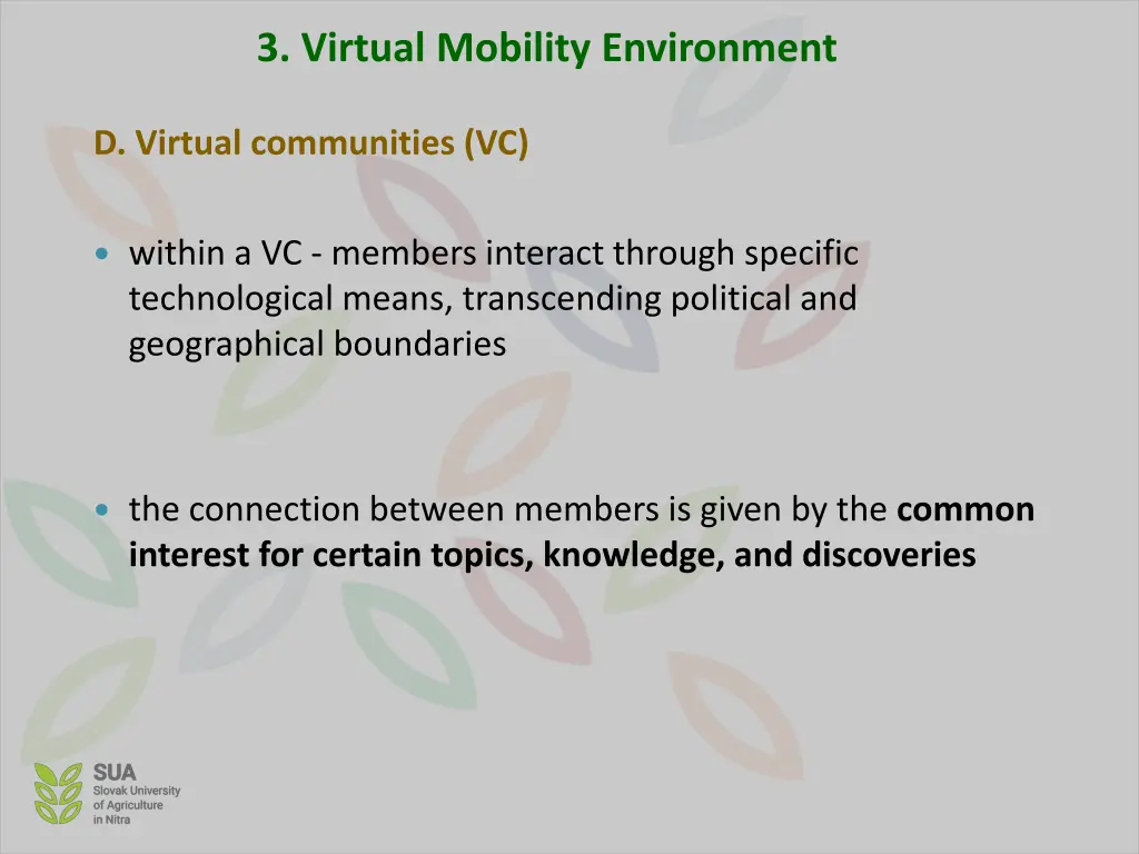 3 virtual mobility environment 13