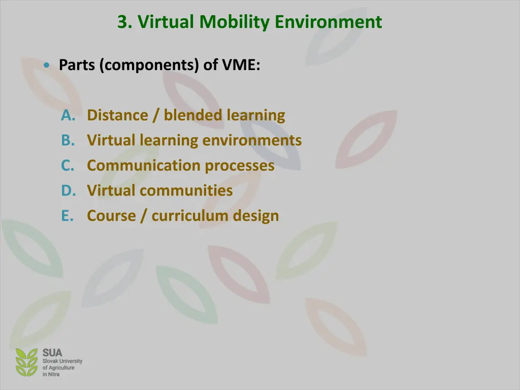 3 virtual mobility environment