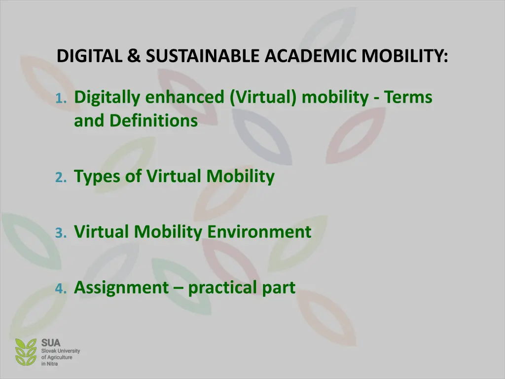 digital sustainable academic mobility