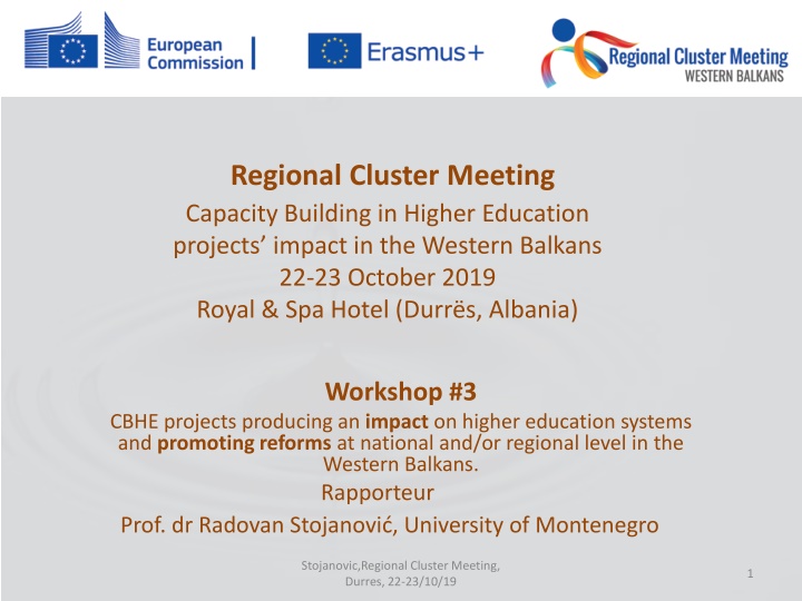 regional cluster meeting capacity building