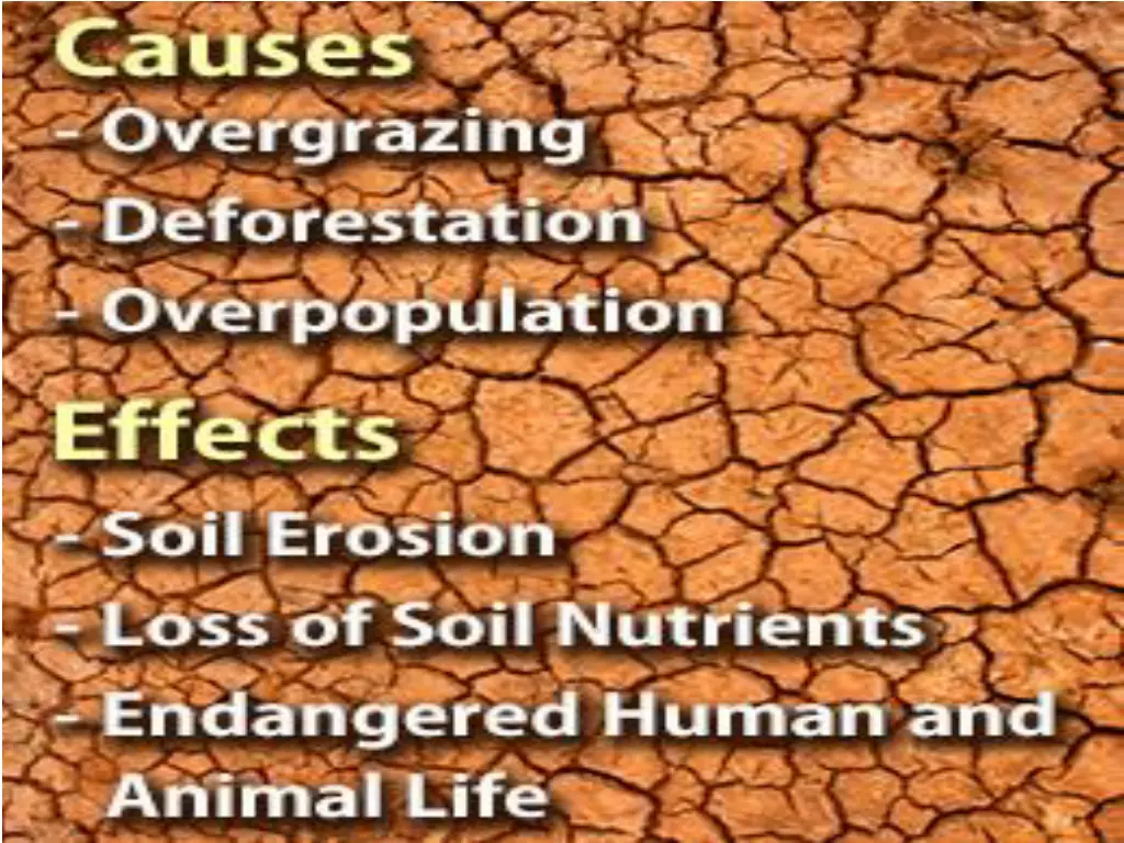 slide14