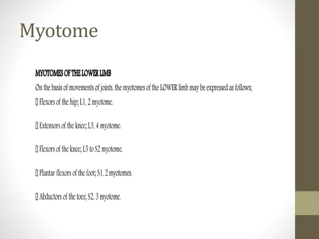 myotome