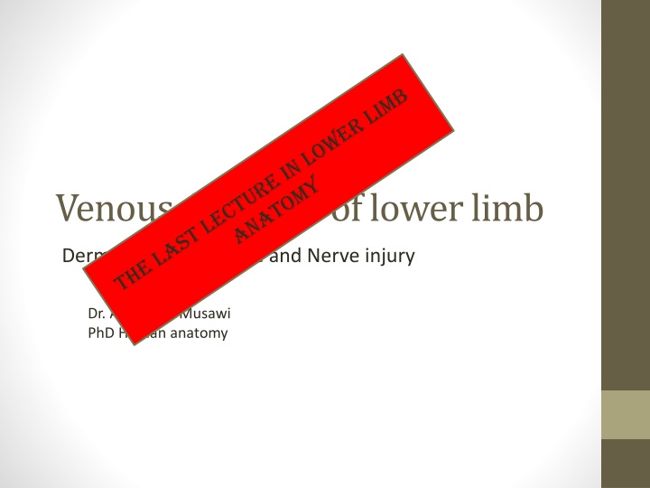 venous drainage of lower limb