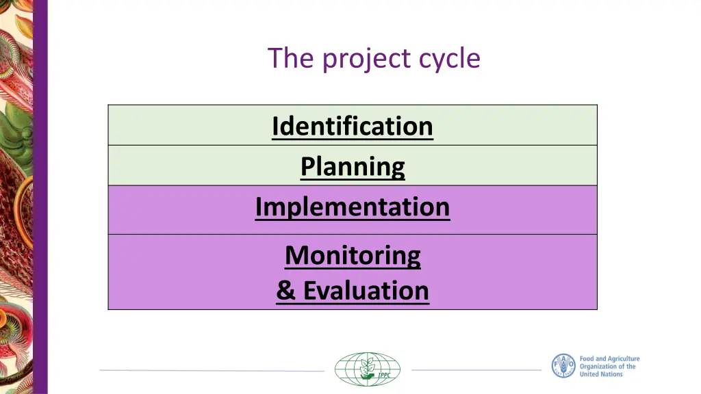 the project cycle