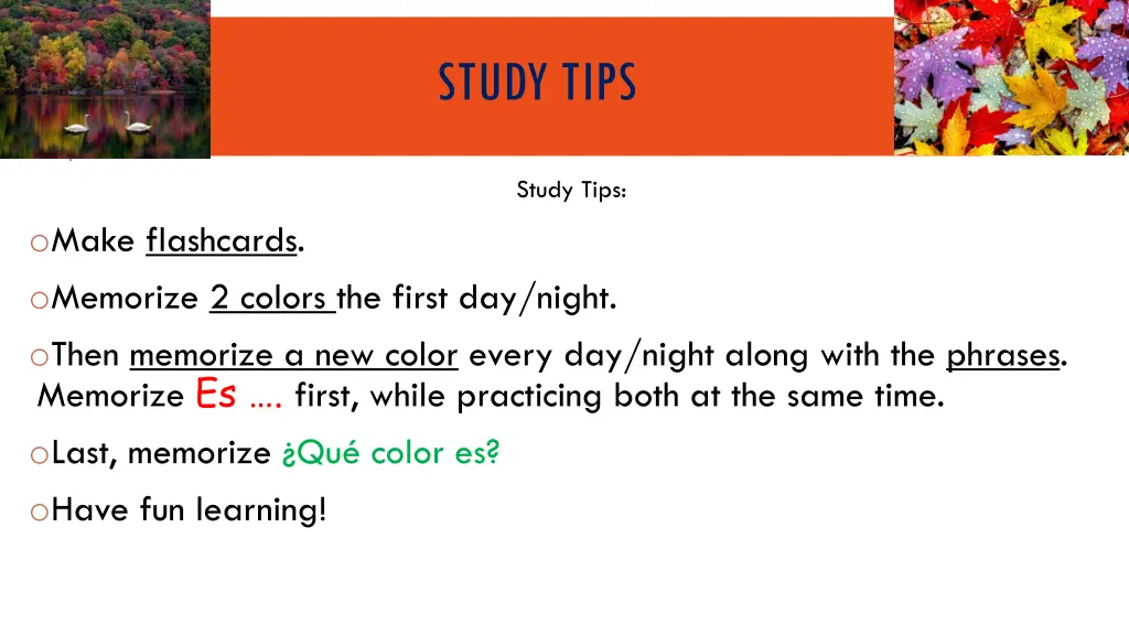 study tips