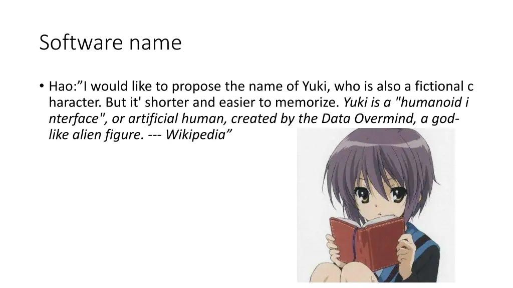 software name