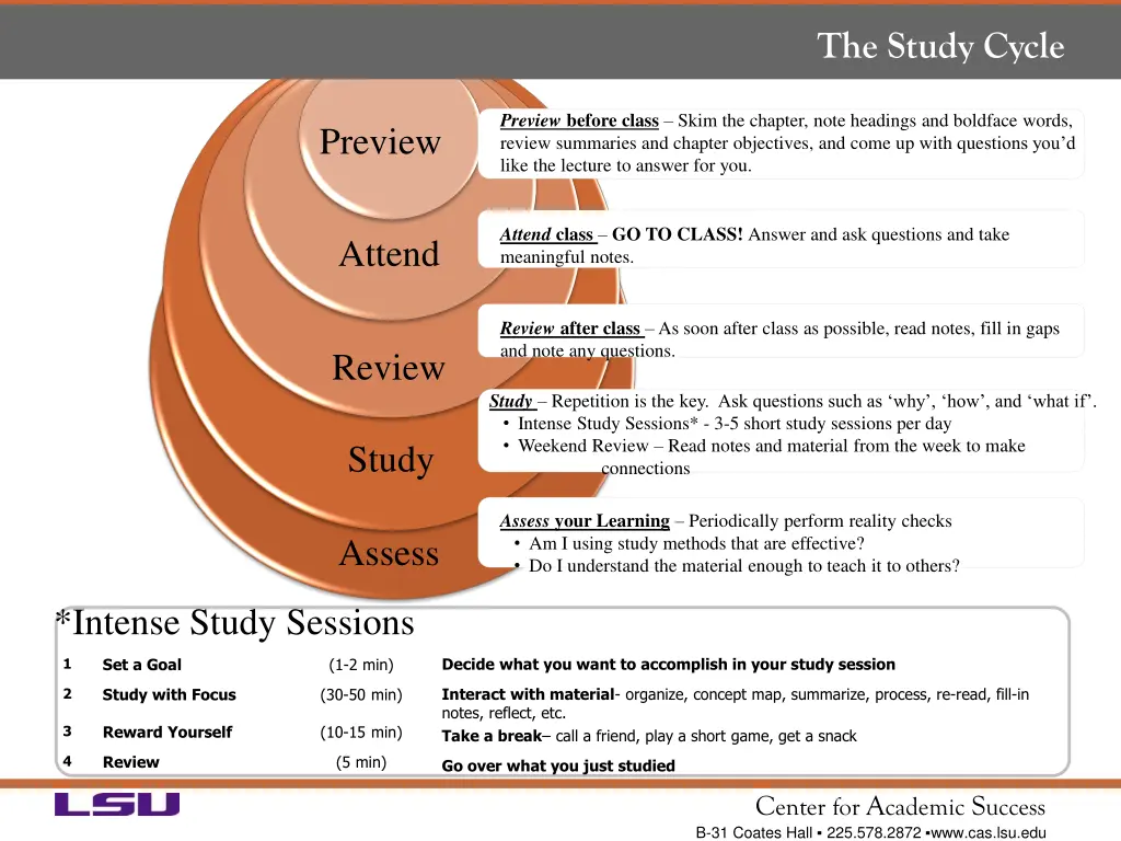 the study cycle