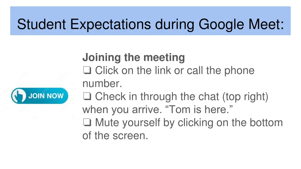 student expectations during google meet 2