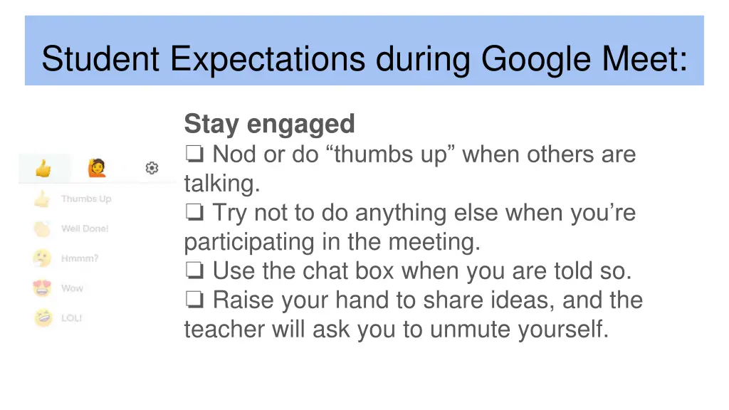 student expectations during google meet 5