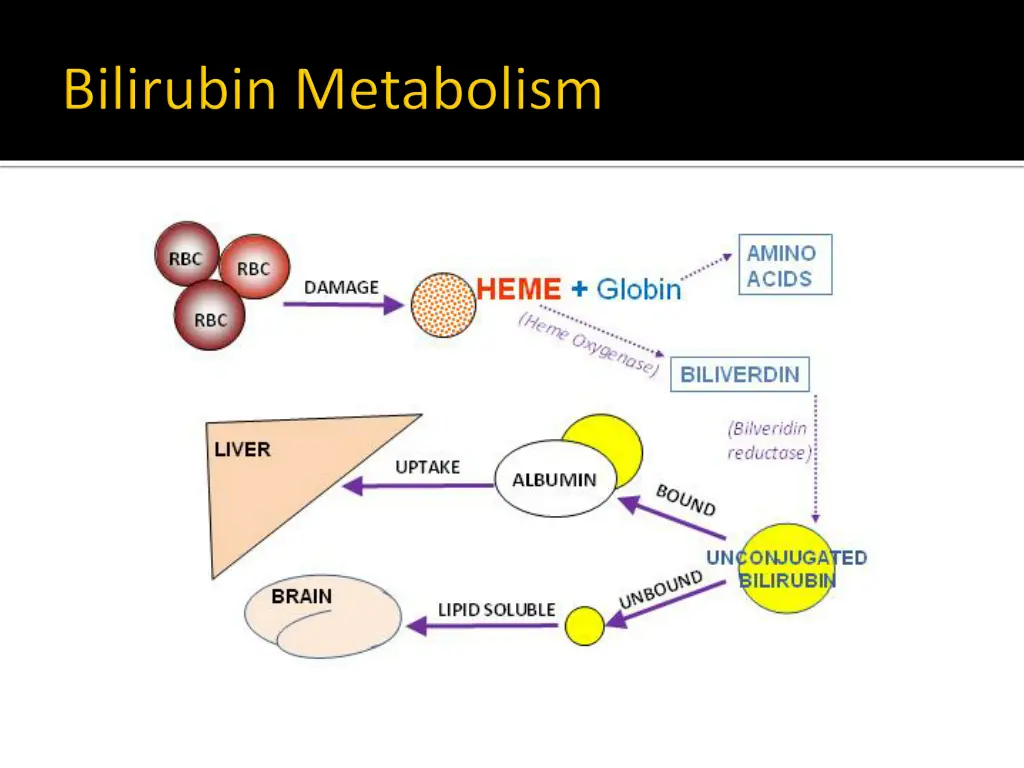 slide6