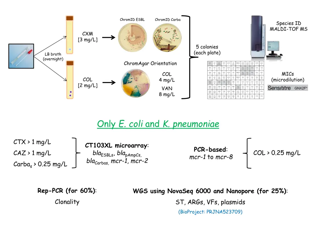 chromid esbl