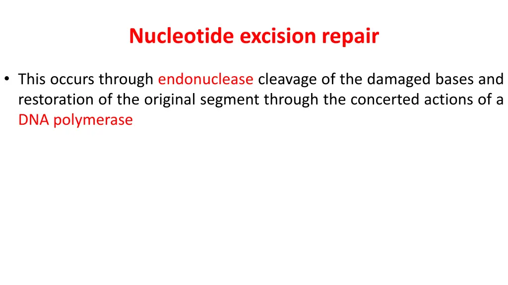 nucleotide excision repair
