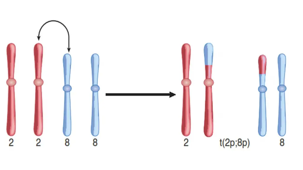 slide6
