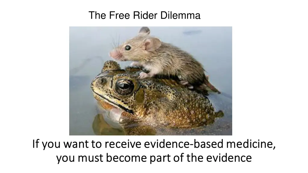 the free rider dilemma