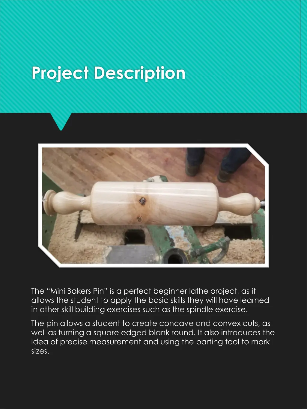 project description