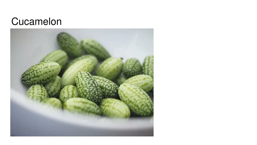 cucamelon