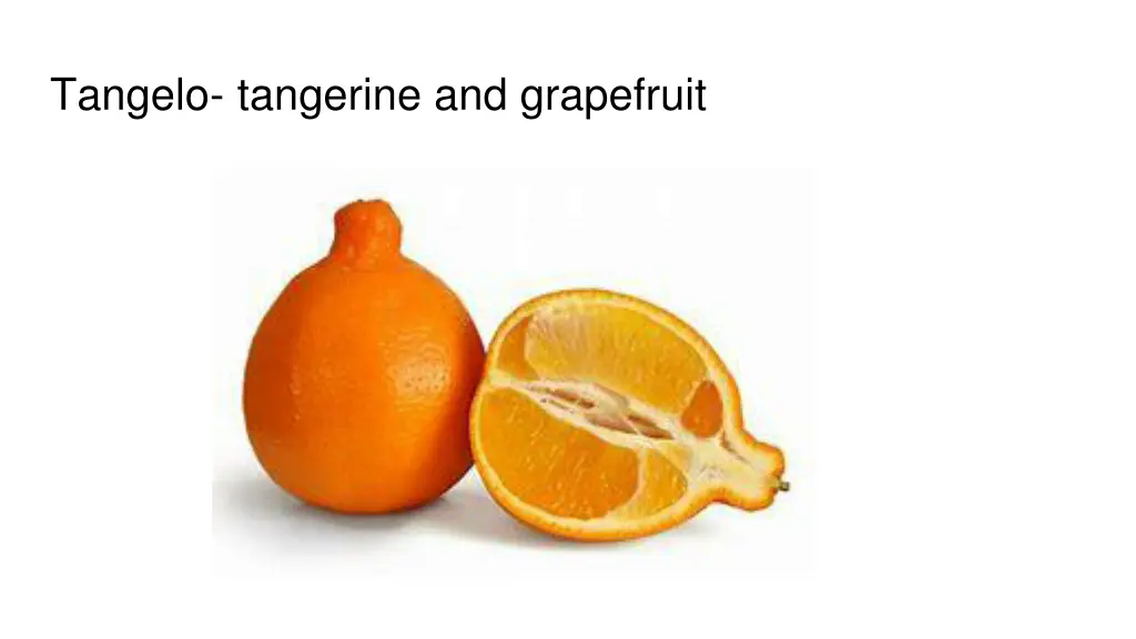 tangelo tangerine and grapefruit