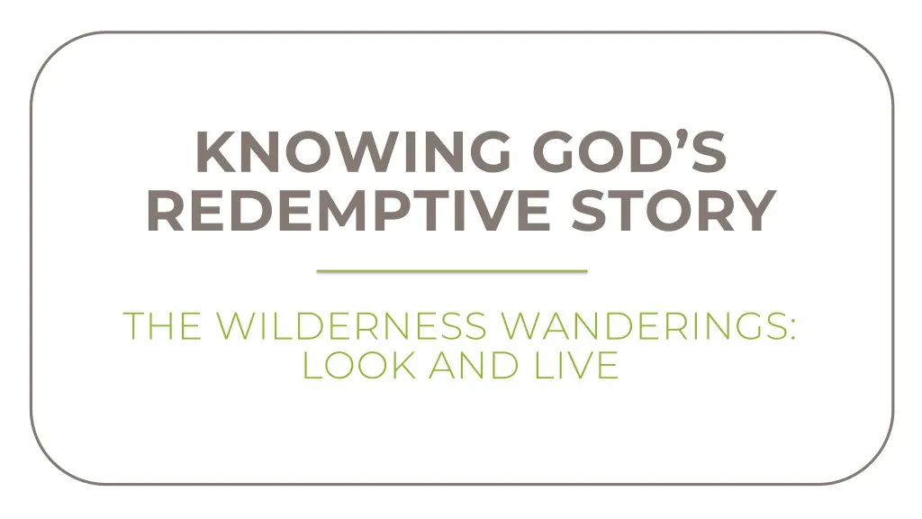 knowing god s redemptive story