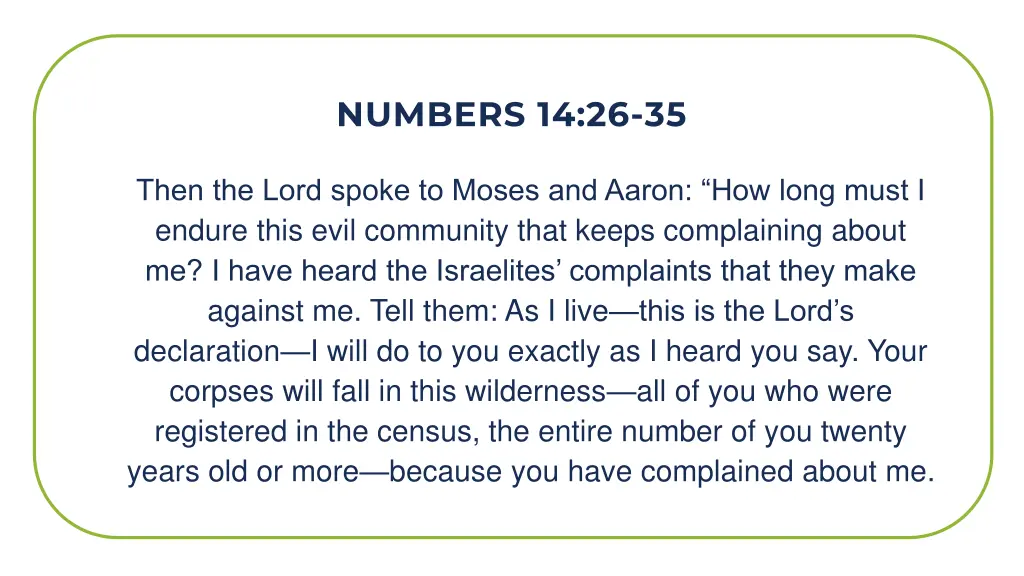 numbers 14 26 35
