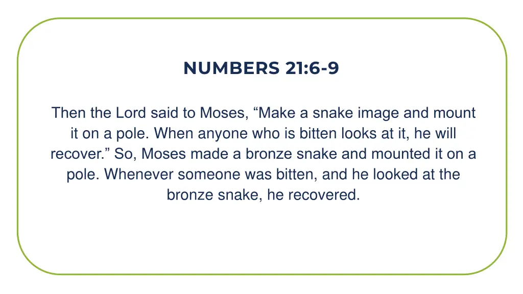 numbers 21 6 9 1